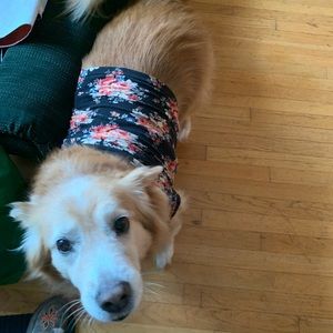 Meet your Posher, Kristin